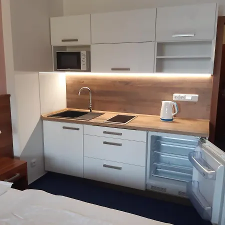 Wellness Apartment Frymburk